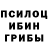 Галлюциногенные грибы Magic Shrooms TurnipBoom